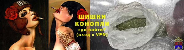 PSILOCYBIN Алзамай