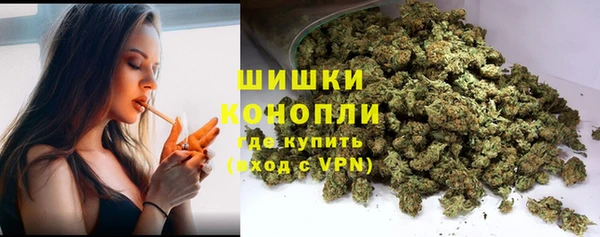 PSILOCYBIN Алзамай