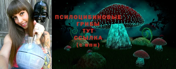 PSILOCYBIN Алзамай