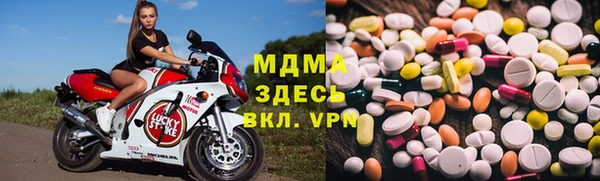 прущие грибы Алексеевка