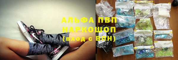 прущие грибы Алексеевка