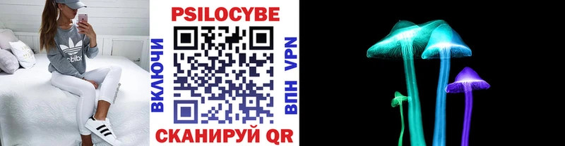 darknet телеграм  дарнет шоп  Муром  Галлюциногенные грибы MAGIC MUSHROOMS 